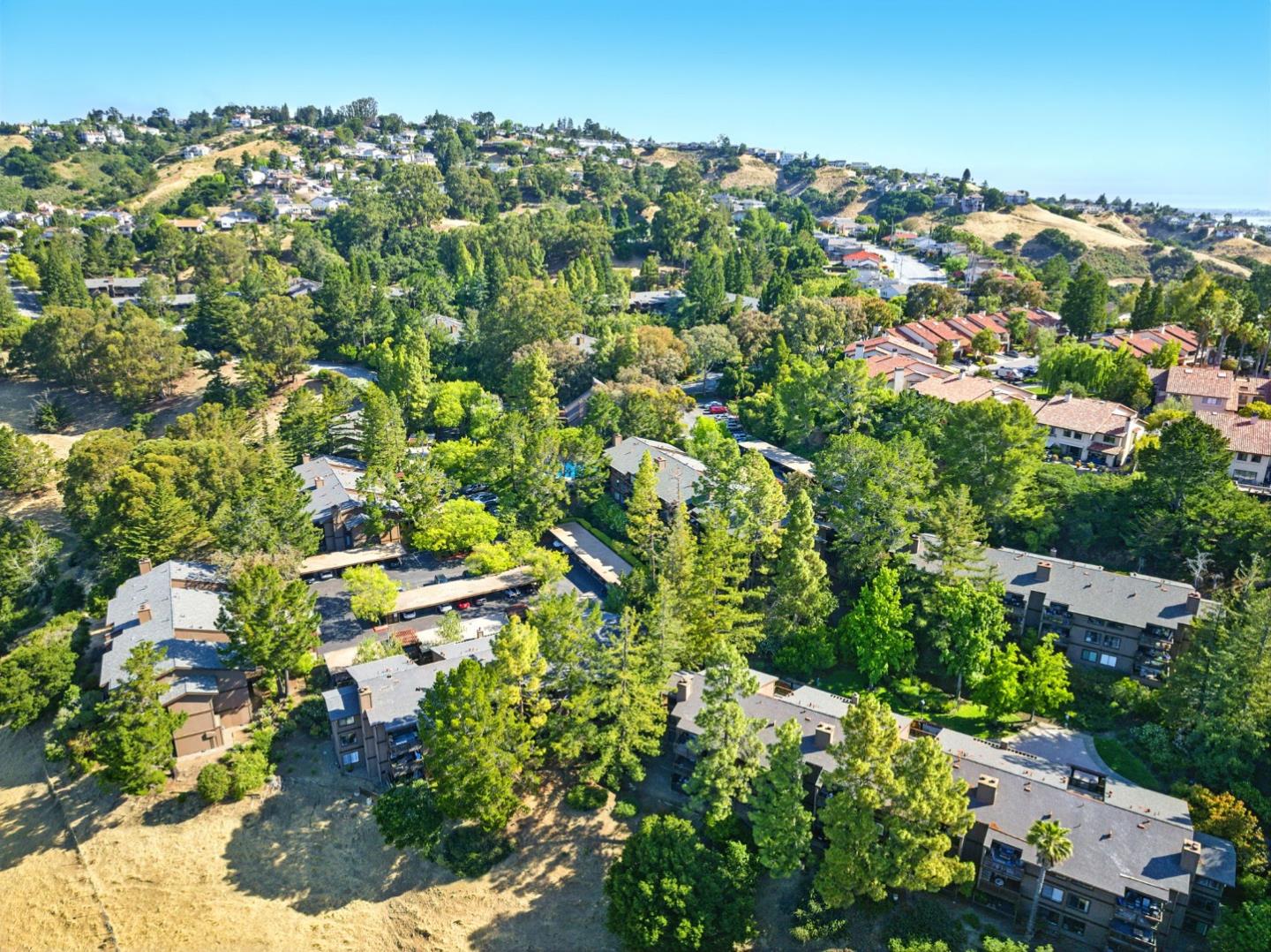 Detail Gallery Image 53 of 61 For 3329 Brittan Ave #1,  San Carlos,  CA 94070 - 3 Beds | 2 Baths