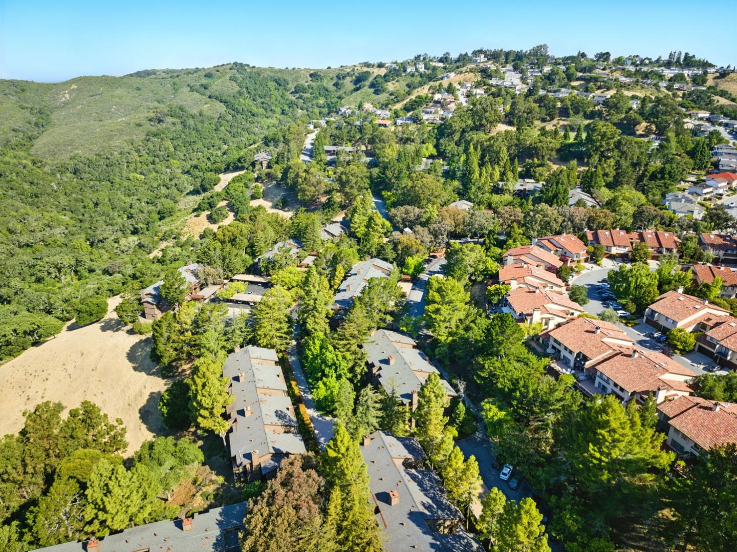 Detail Gallery Image 54 of 61 For 3329 Brittan Ave #1,  San Carlos,  CA 94070 - 3 Beds | 2 Baths