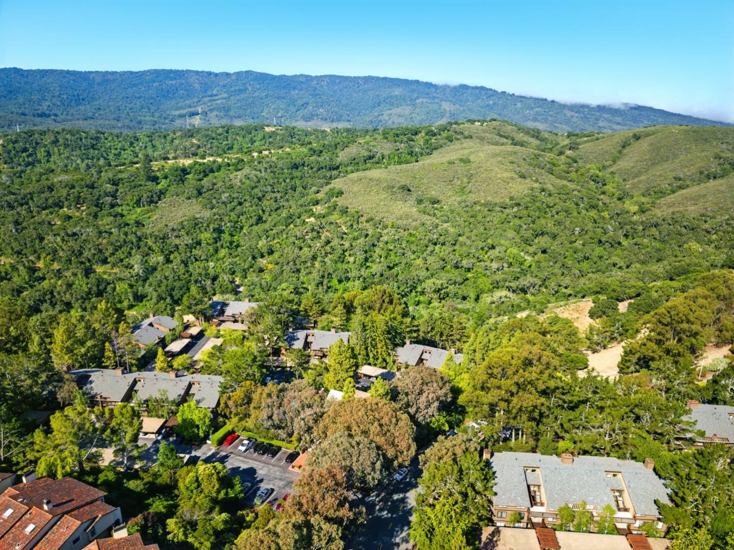 Detail Gallery Image 55 of 61 For 3329 Brittan Ave #1,  San Carlos,  CA 94070 - 3 Beds | 2 Baths