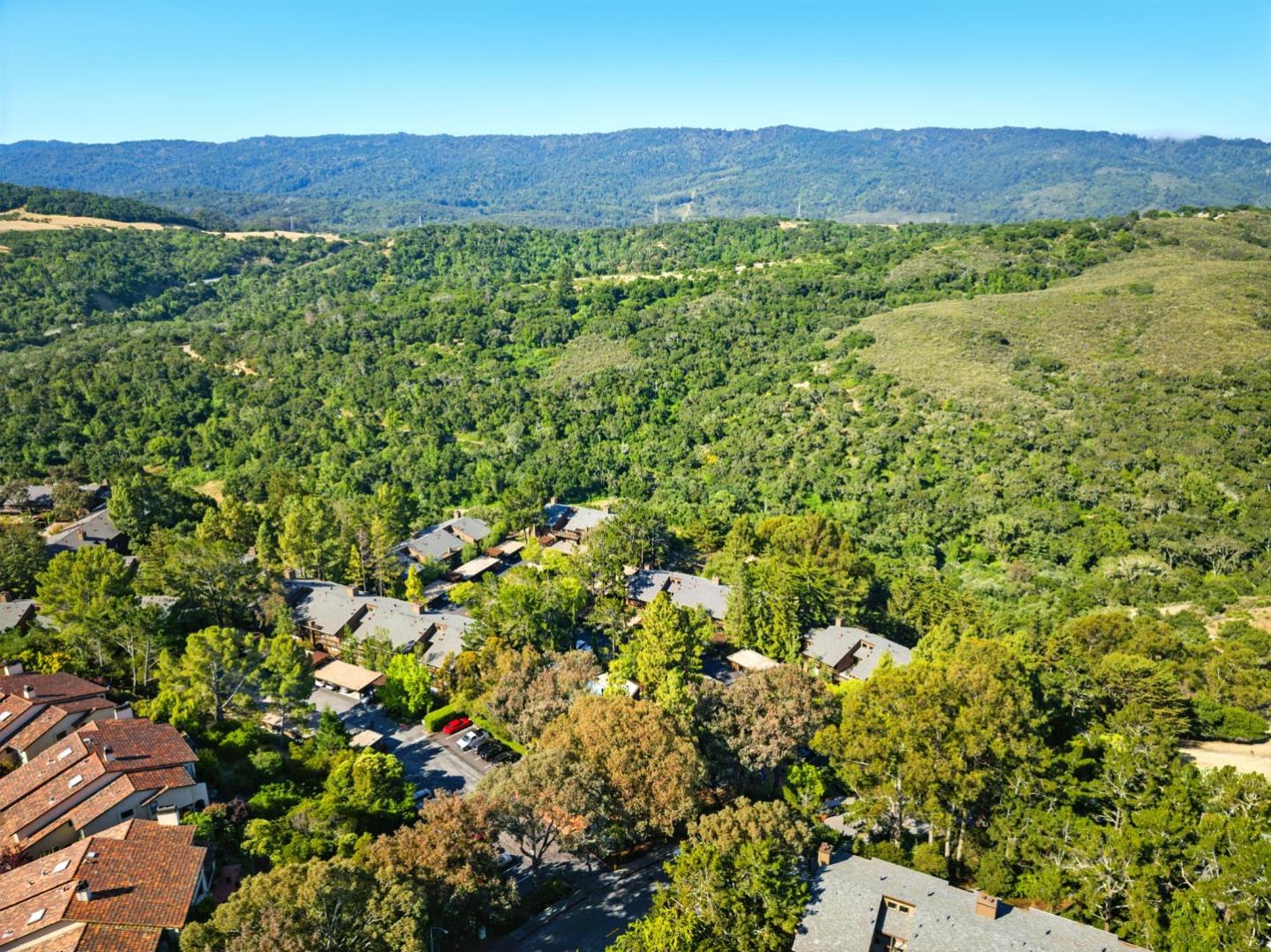 Detail Gallery Image 56 of 61 For 3329 Brittan Ave #1,  San Carlos,  CA 94070 - 3 Beds | 2 Baths