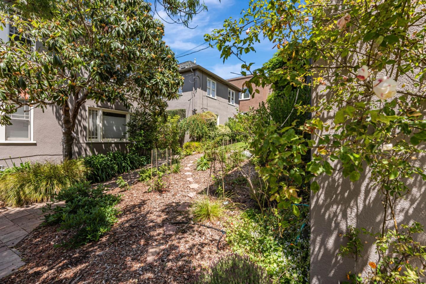 Detail Gallery Image 42 of 45 For 1585 Arch St, Berkeley,  CA 94708 - 2 Beds | 1/1 Baths