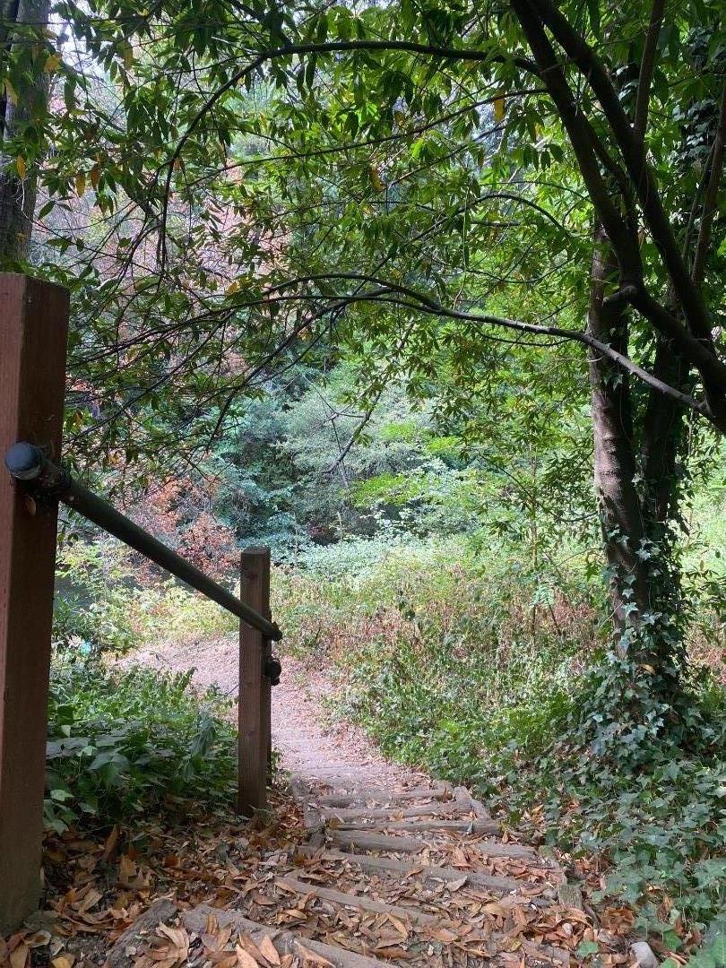 Detail Gallery Image 27 of 28 For 13550 Bear Creek Rd #18,  Boulder Creek,  CA 95006 - 2 Beds | 1 Baths