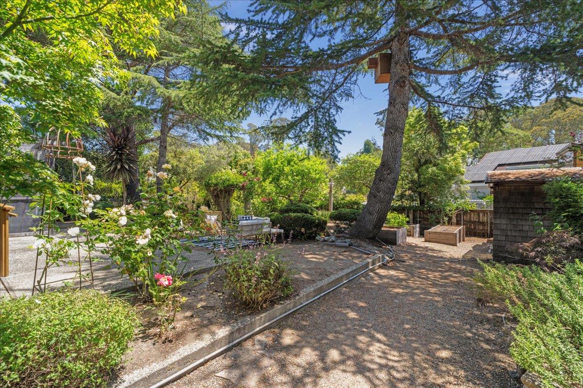 Detail Gallery Image 33 of 42 For 746 Western Dr, Santa Cruz,  CA 95060 - 4 Beds | 2 Baths