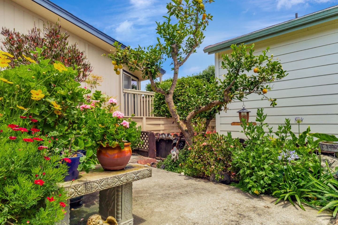 Detail Gallery Image 5 of 23 For 2435 Felt #71,  Santa Cruz,  CA 95062 - 2 Beds | 2 Baths