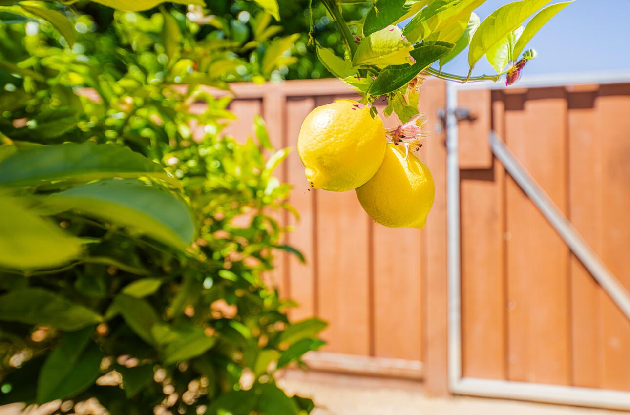 Detail Gallery Image 42 of 45 For 22470 Estoque Pl, Salinas,  CA 93908 - 4 Beds | 2/1 Baths