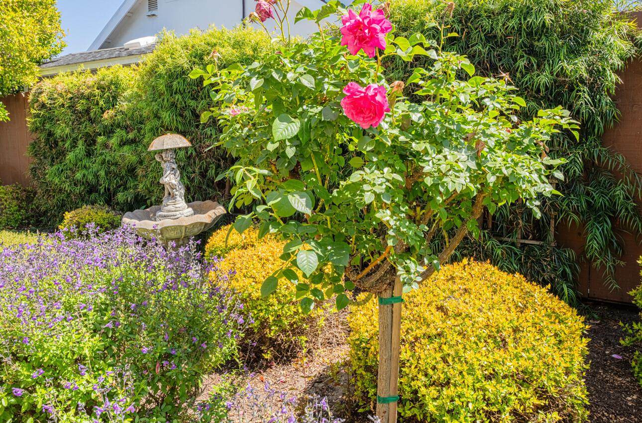 Detail Gallery Image 44 of 45 For 22470 Estoque Pl, Salinas,  CA 93908 - 4 Beds | 2/1 Baths
