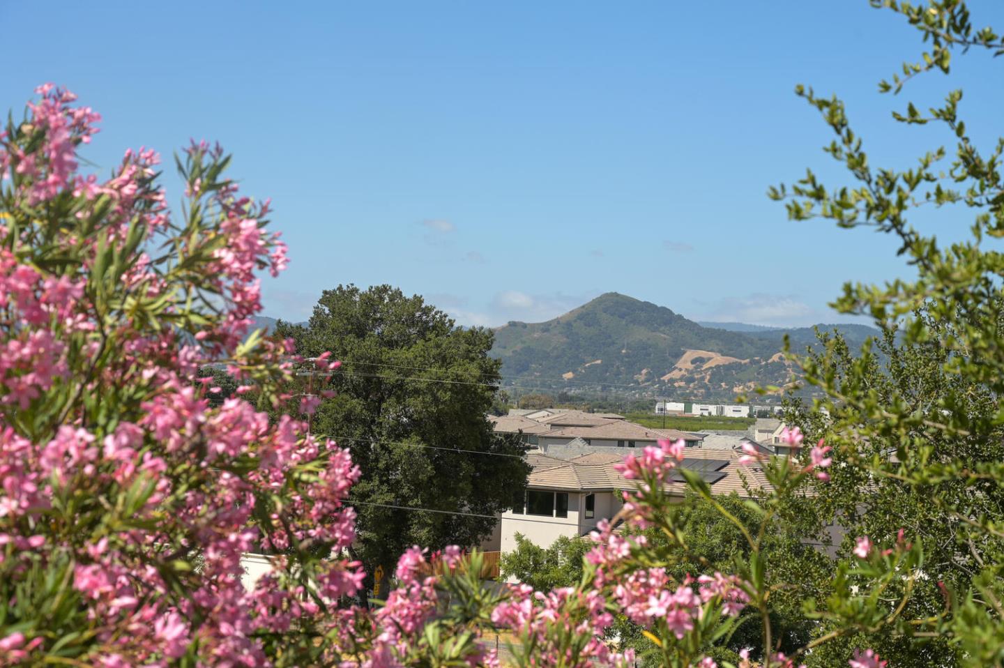 Detail Gallery Image 34 of 34 For 18150 Cochrane Rd, Morgan Hill,  CA 95037 - 4 Beds | 3/1 Baths