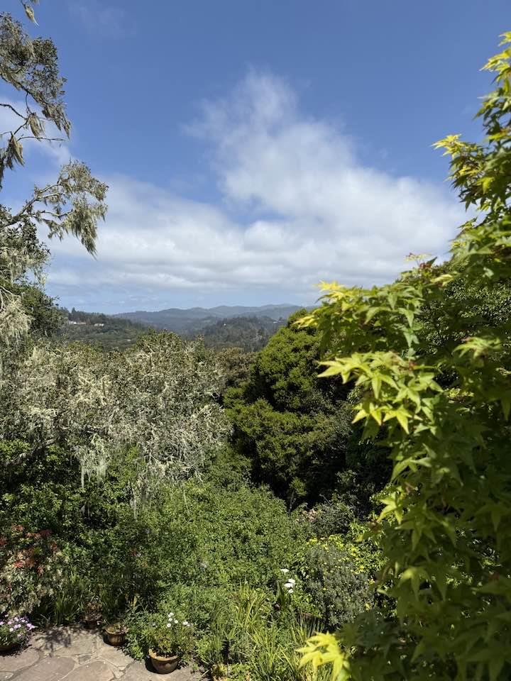 Detail Gallery Image 29 of 32 For 425 Vista Del Mar Dr, Aptos,  CA 95003 - 5 Beds | 3/1 Baths