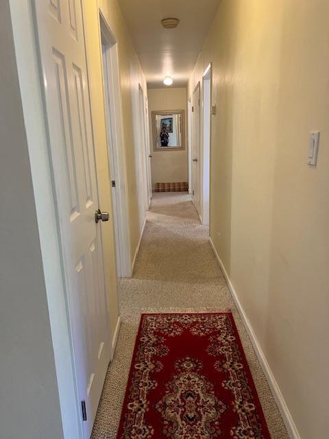 Detail Gallery Image 6 of 27 For 108 Stein Way, Orinda,  CA 94563 - 5 Beds | 3/2 Baths
