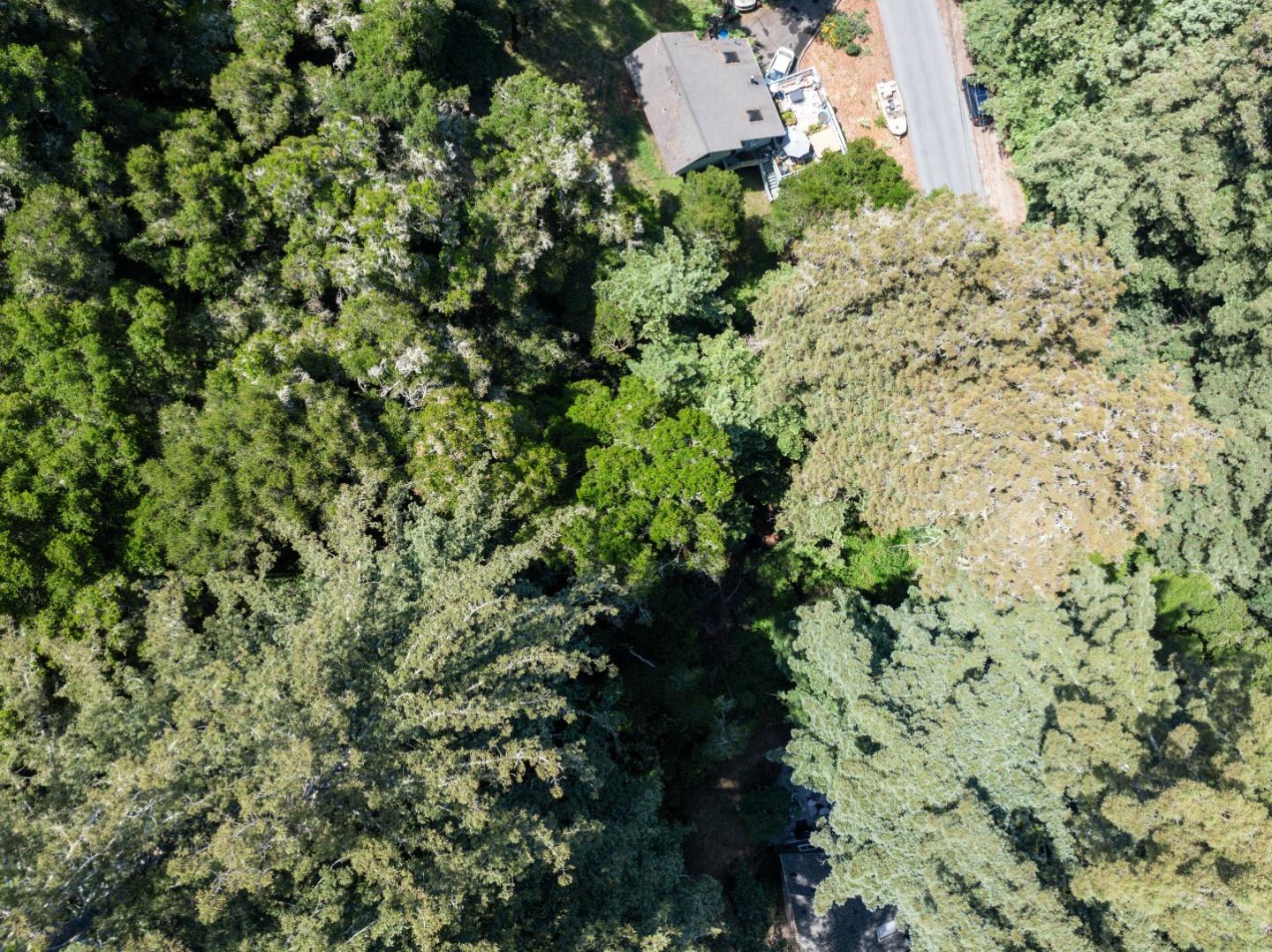 Detail Gallery Image 11 of 20 For Lot 02 Cathedral Dr, Aptos,  CA 95003 - – Beds | – Baths