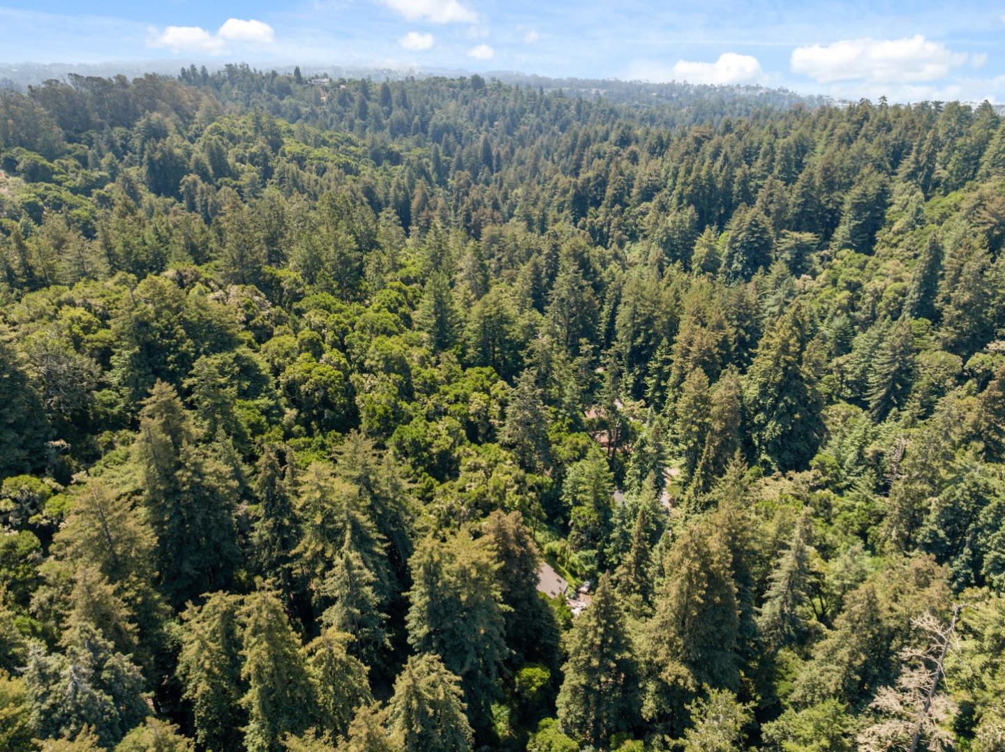 Detail Gallery Image 12 of 20 For Lot 02 Cathedral Dr, Aptos,  CA 95003 - – Beds | – Baths