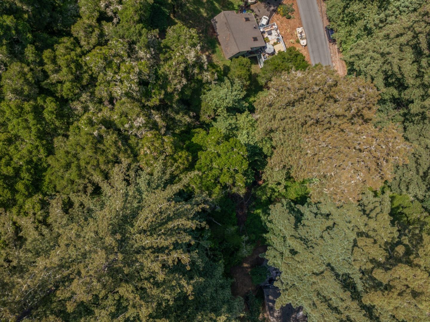 Detail Gallery Image 19 of 20 For Lot 02 Cathedral Dr, Aptos,  CA 95003 - – Beds | – Baths