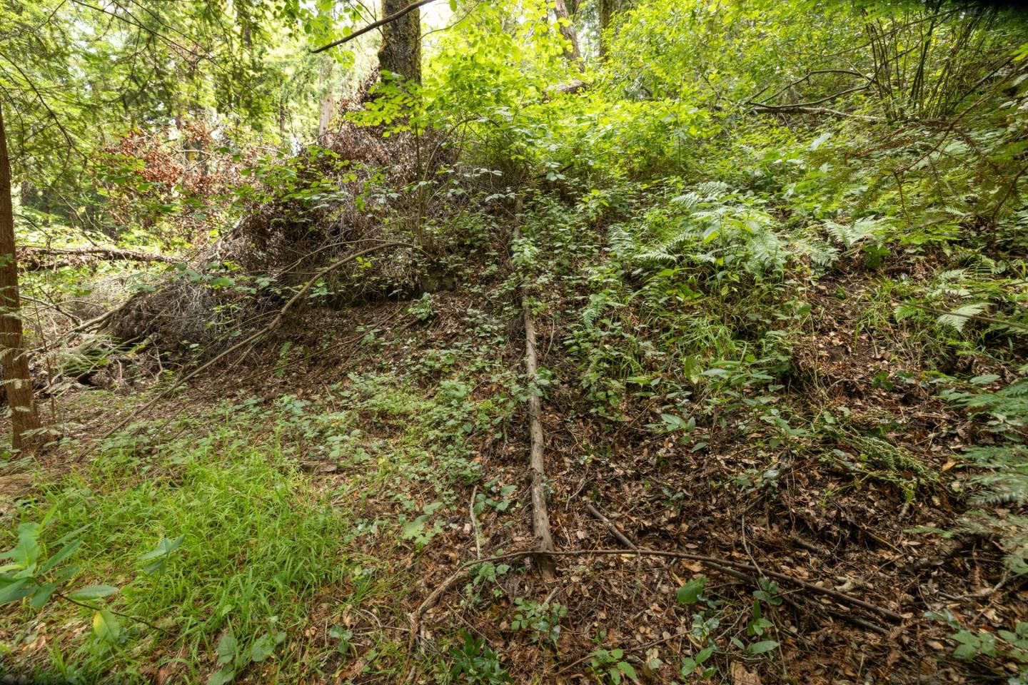 Detail Gallery Image 6 of 20 For Lot 02 Cathedral Dr, Aptos,  CA 95003 - – Beds | – Baths