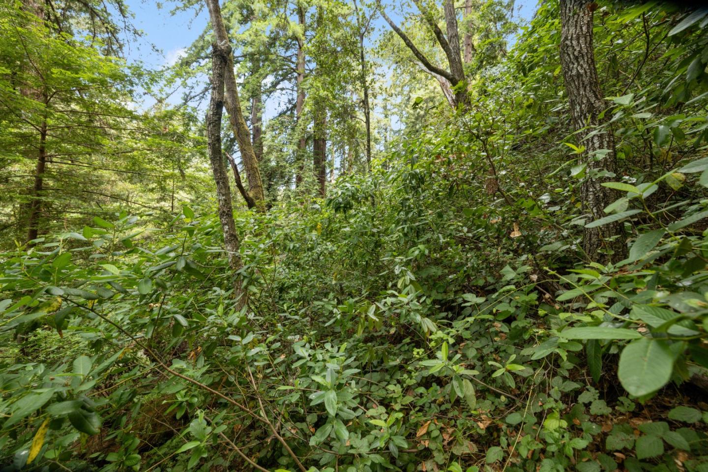 Detail Gallery Image 8 of 20 For Lot 02 Cathedral Dr, Aptos,  CA 95003 - – Beds | – Baths