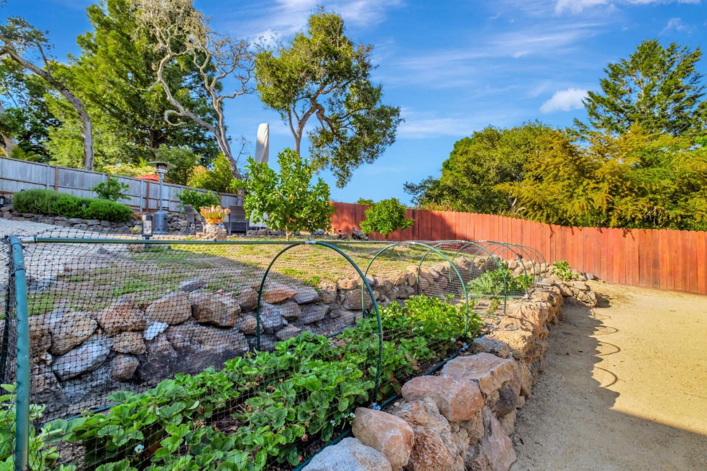 Detail Gallery Image 32 of 44 For 770 Graham Hill Rd, Santa Cruz,  CA 95060 - 3 Beds | 3 Baths