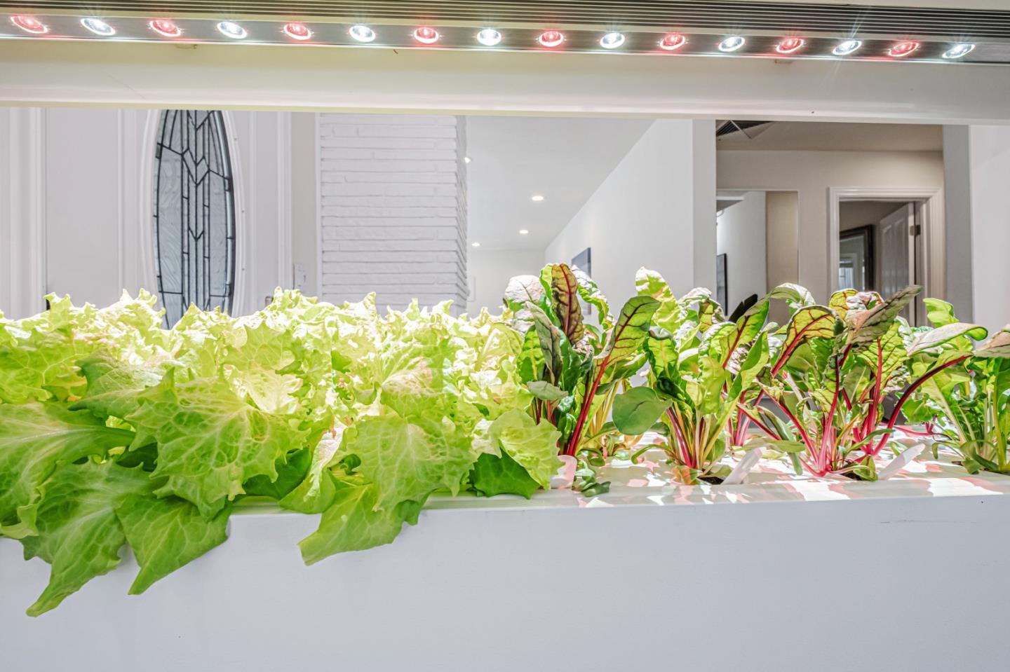 Detail Gallery Image 8 of 44 For 770 Graham Hill Rd, Santa Cruz,  CA 95060 - 3 Beds | 3 Baths