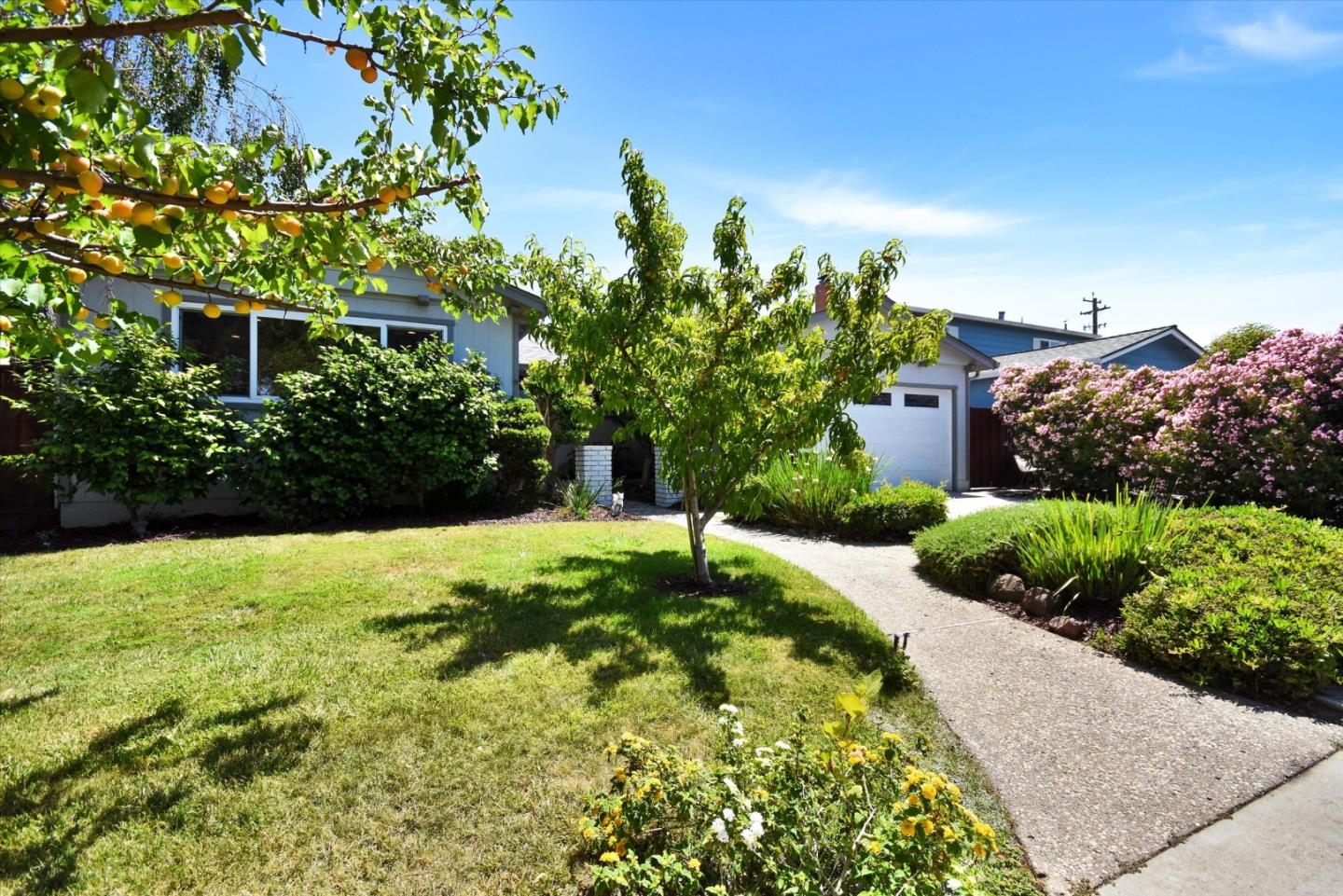 Detail Gallery Image 2 of 36 For 448 Kings Ct, Campbell,  CA 95008 - 4 Beds | 2 Baths