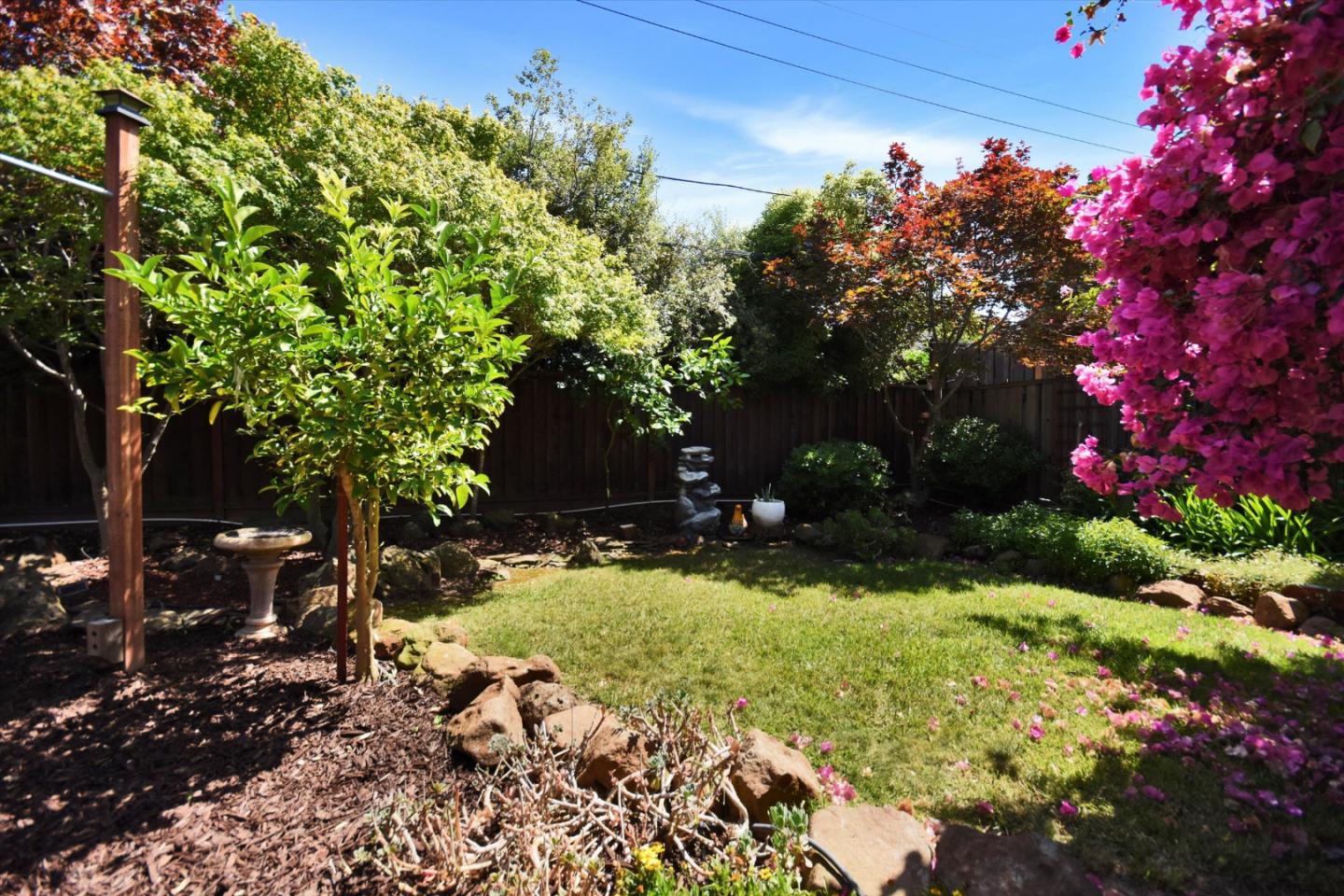 Detail Gallery Image 33 of 36 For 448 Kings Ct, Campbell,  CA 95008 - 4 Beds | 2 Baths