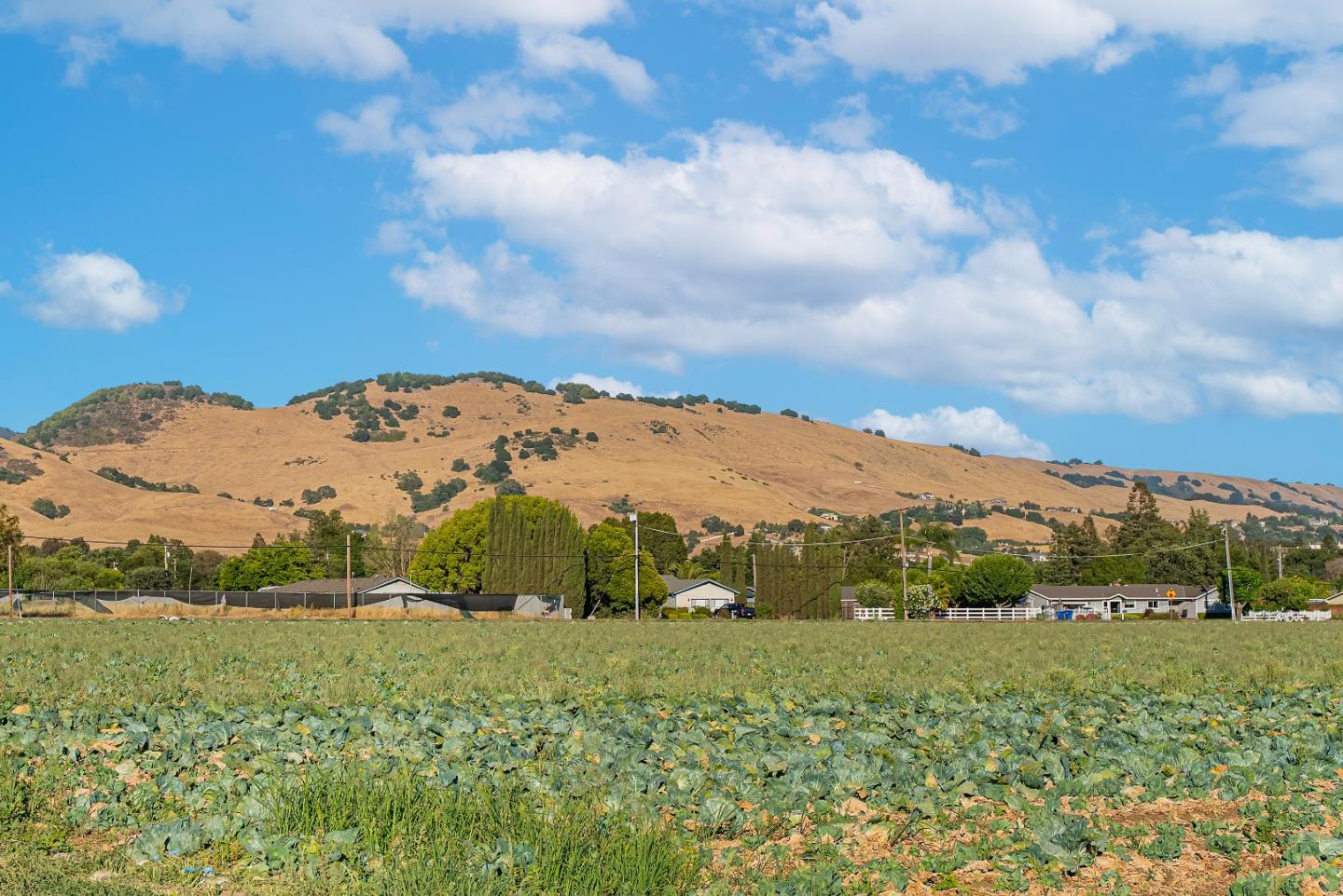 Detail Gallery Image 40 of 47 For 12225 Foothill Ave, San Martin,  CA 95046 - 4 Beds | 4/1 Baths