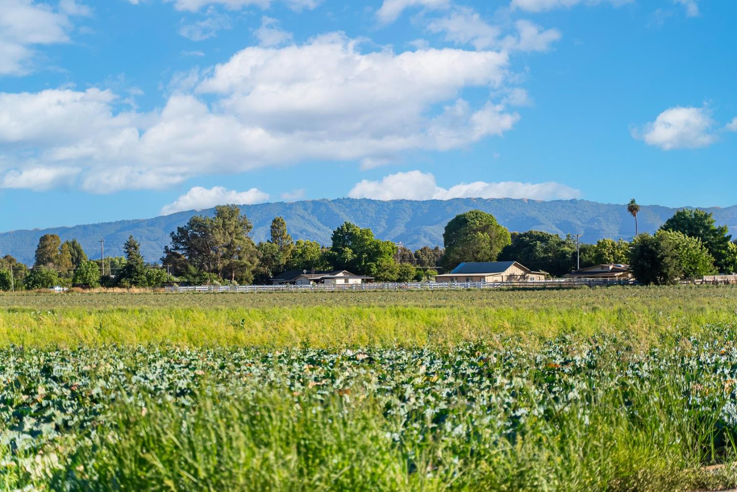 Detail Gallery Image 41 of 47 For 12225 Foothill Ave, San Martin,  CA 95046 - 4 Beds | 4/1 Baths