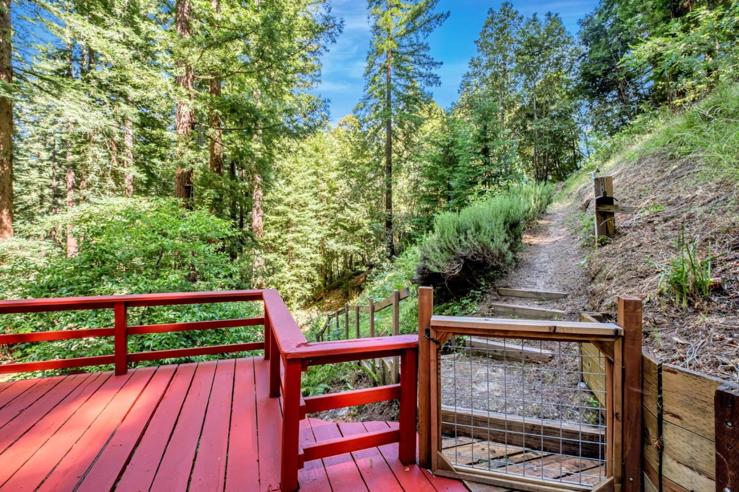 Detail Gallery Image 36 of 45 For 345 Mcgaffigan Mill Rd, Boulder Creek,  CA 95006 - 3 Beds | 3 Baths