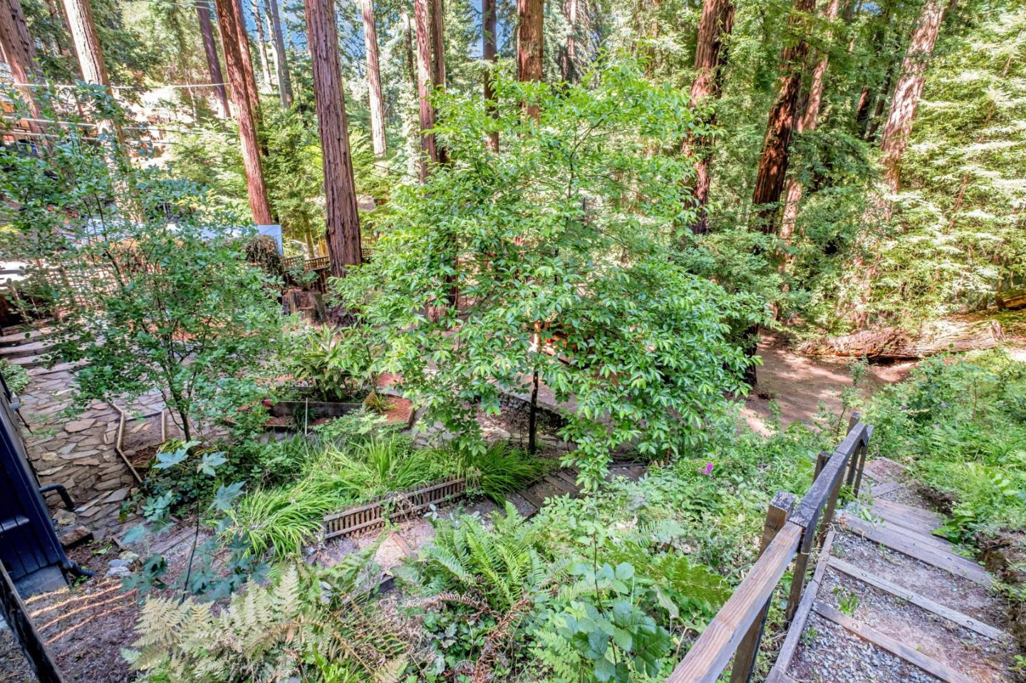 Detail Gallery Image 38 of 45 For 345 Mcgaffigan Mill Rd, Boulder Creek,  CA 95006 - 3 Beds | 3 Baths