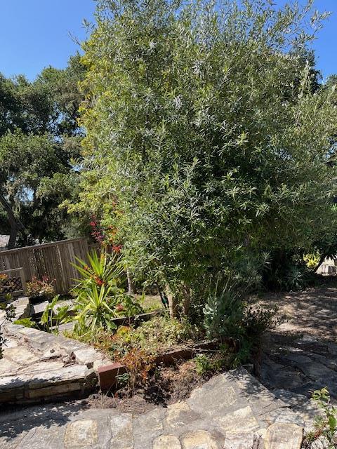 Detail Gallery Image 9 of 11 For 24368 San Juan Rd, Carmel,  CA 93923 - 2 Beds | 2 Baths