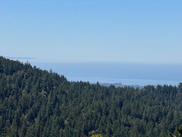 Detail Gallery Image 112 of 115 For 132 Pax Place Ct, Aptos,  CA 95003 - 3 Beds | 3 Baths