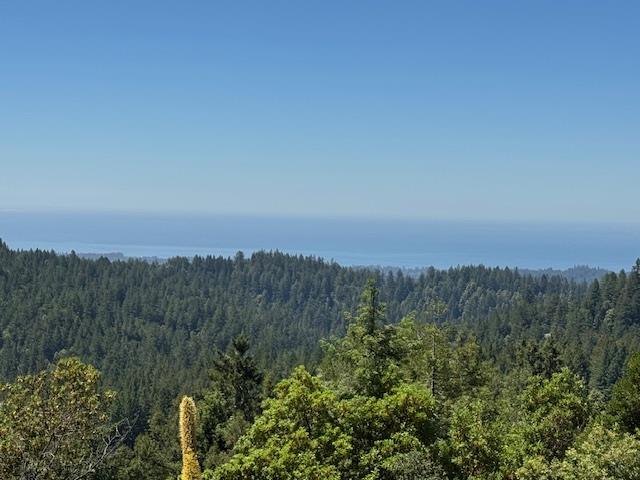 Detail Gallery Image 47 of 115 For 132 Pax Place Ct, Aptos,  CA 95003 - 3 Beds | 3 Baths