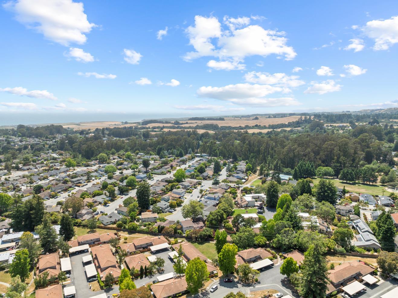Detail Gallery Image 28 of 29 For 155 Peach Ter, Santa Cruz,  CA 95060 - 2 Beds | 1/1 Baths
