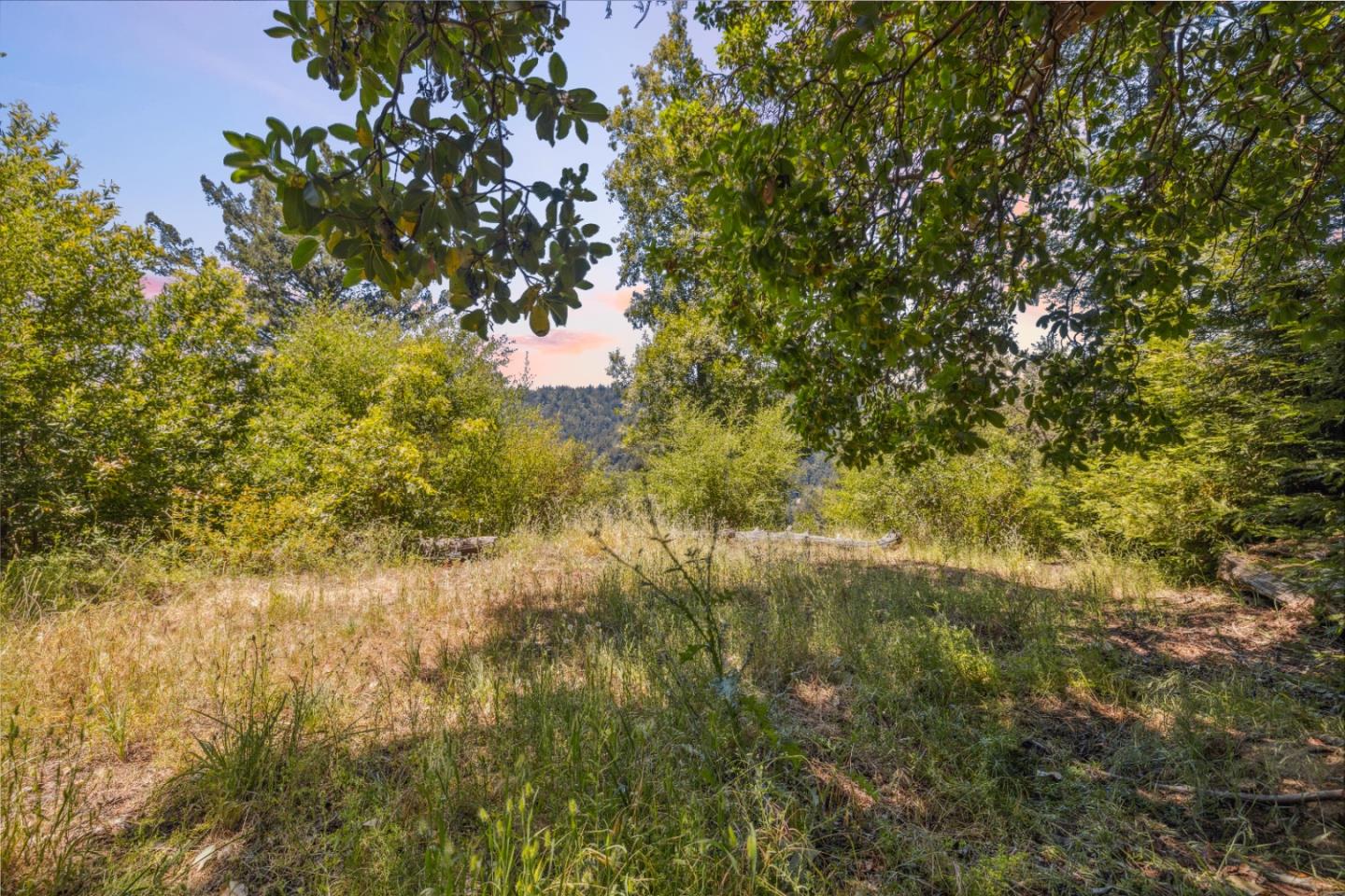 Detail Gallery Image 29 of 40 For 1 Wedwood Widge Way, Boulder Creek,  CA 95006 - 1 Beds | 1 Baths