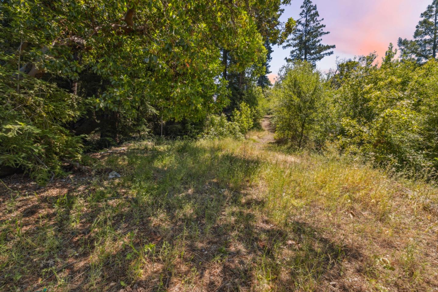 Detail Gallery Image 30 of 40 For 1 Wedwood Widge Way, Boulder Creek,  CA 95006 - 1 Beds | 1 Baths