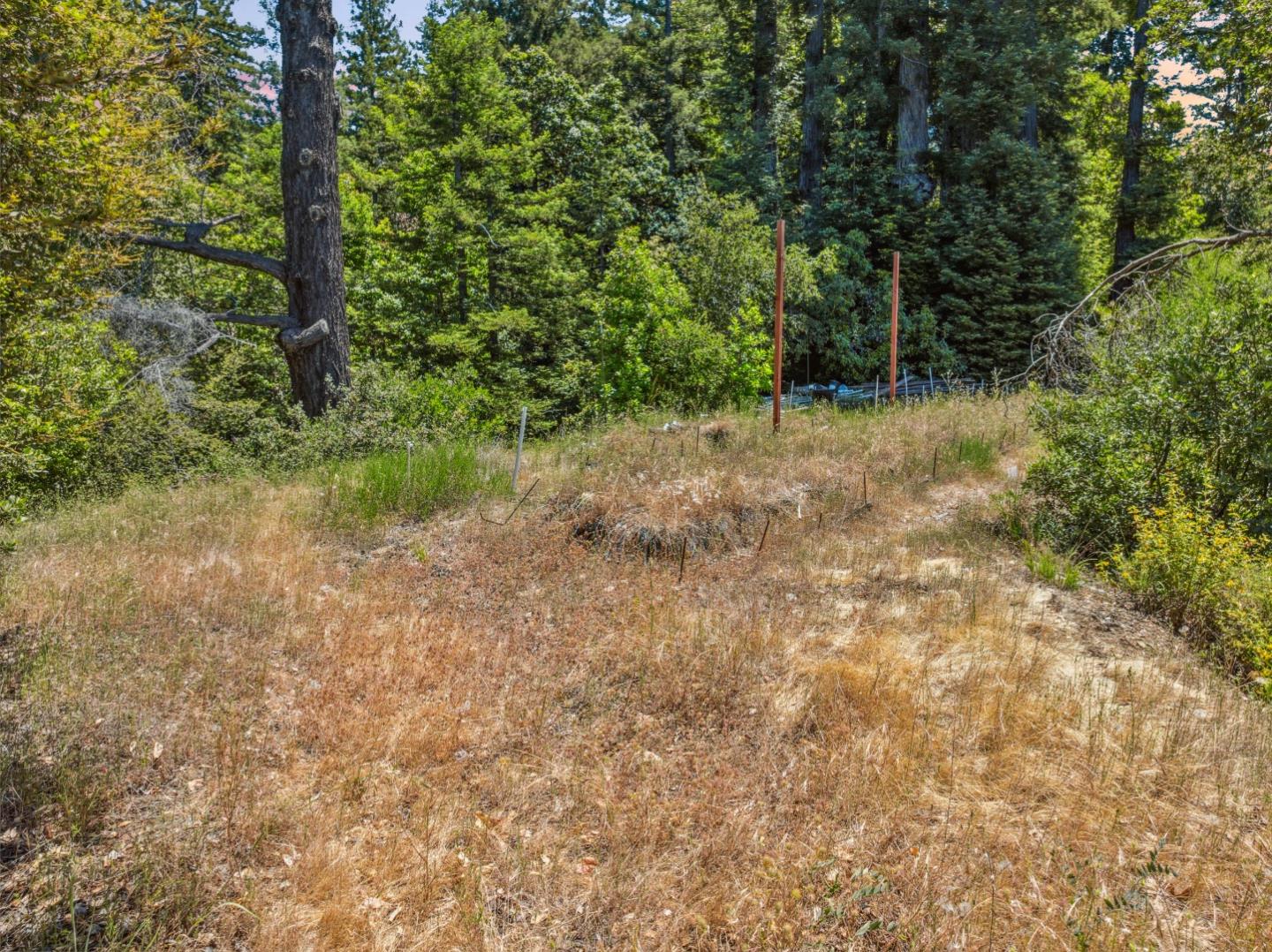 Detail Gallery Image 31 of 40 For 1 Wedwood Widge Way, Boulder Creek,  CA 95006 - 1 Beds | 1 Baths