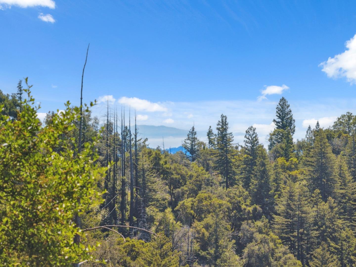 Detail Gallery Image 34 of 40 For 1 Wedwood Widge Way, Boulder Creek,  CA 95006 - 1 Beds | 1 Baths