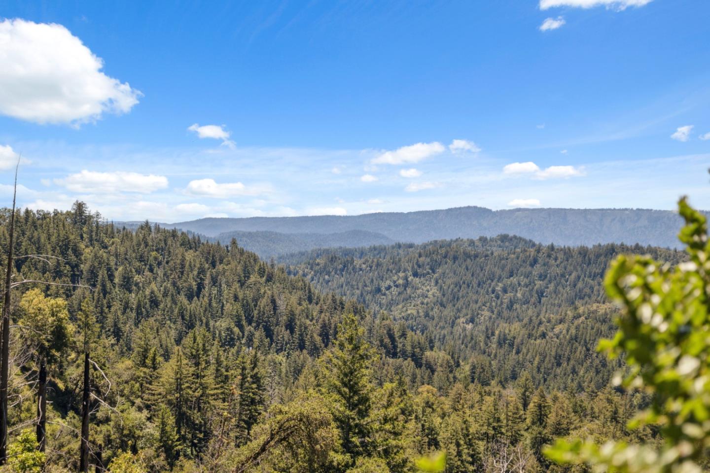 Detail Gallery Image 5 of 40 For 1 Wedwood Widge Way, Boulder Creek,  CA 95006 - 1 Beds | 1 Baths