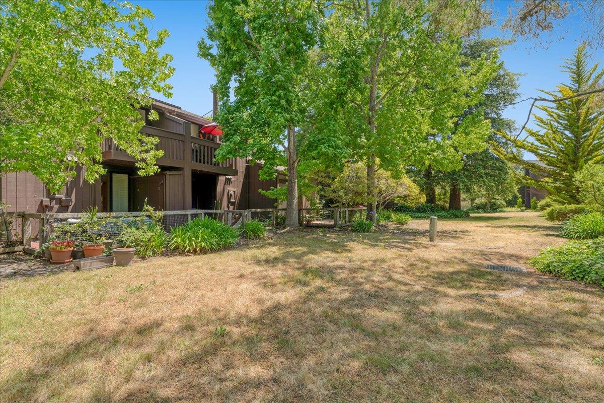 Detail Gallery Image 34 of 54 For 139 Tree Frog Ln, Santa Cruz,  CA 95060 - 2 Beds | 1/1 Baths
