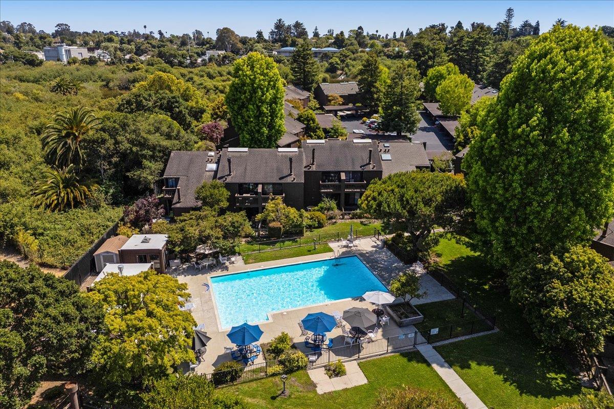 Detail Gallery Image 39 of 54 For 139 Tree Frog Ln, Santa Cruz,  CA 95060 - 2 Beds | 1/1 Baths