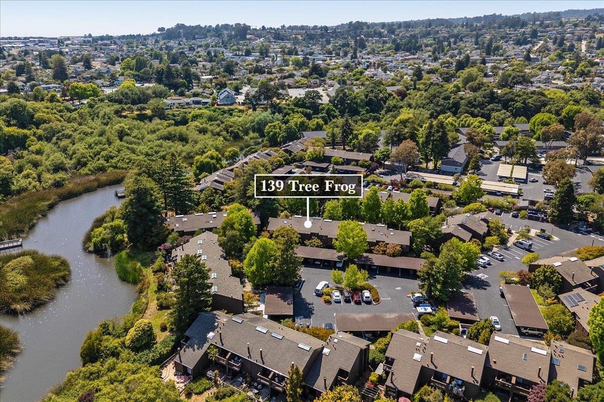 Detail Gallery Image 44 of 54 For 139 Tree Frog Ln, Santa Cruz,  CA 95060 - 2 Beds | 1/1 Baths