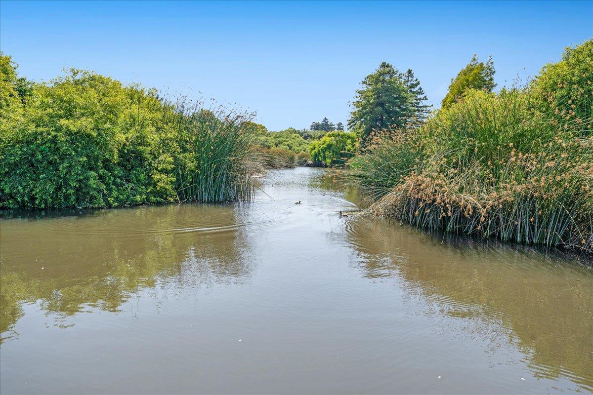 Detail Gallery Image 50 of 54 For 139 Tree Frog Ln, Santa Cruz,  CA 95060 - 2 Beds | 1/1 Baths