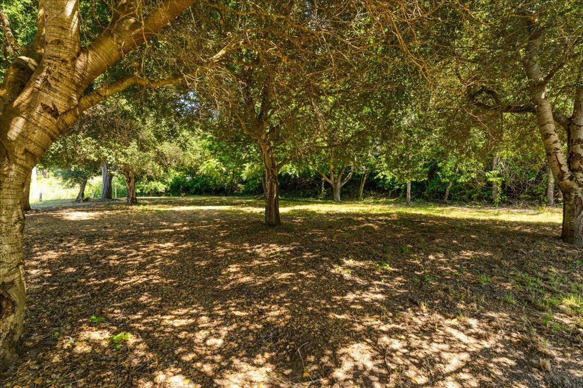 Detail Gallery Image 25 of 45 For 28120 Schulte Rd, Carmel,  CA 93923 - 4 Beds | 2 Baths