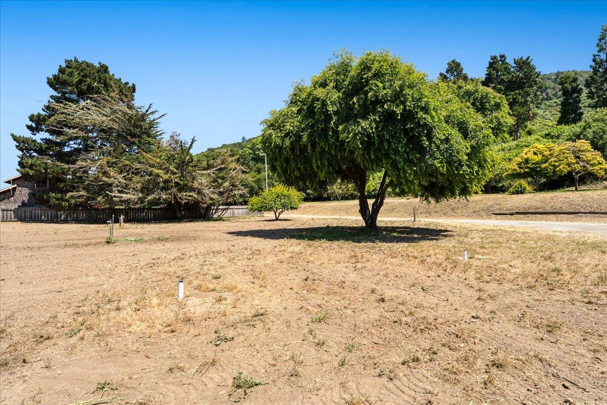 Detail Gallery Image 29 of 45 For 28120 Schulte Rd, Carmel,  CA 93923 - 4 Beds | 2 Baths