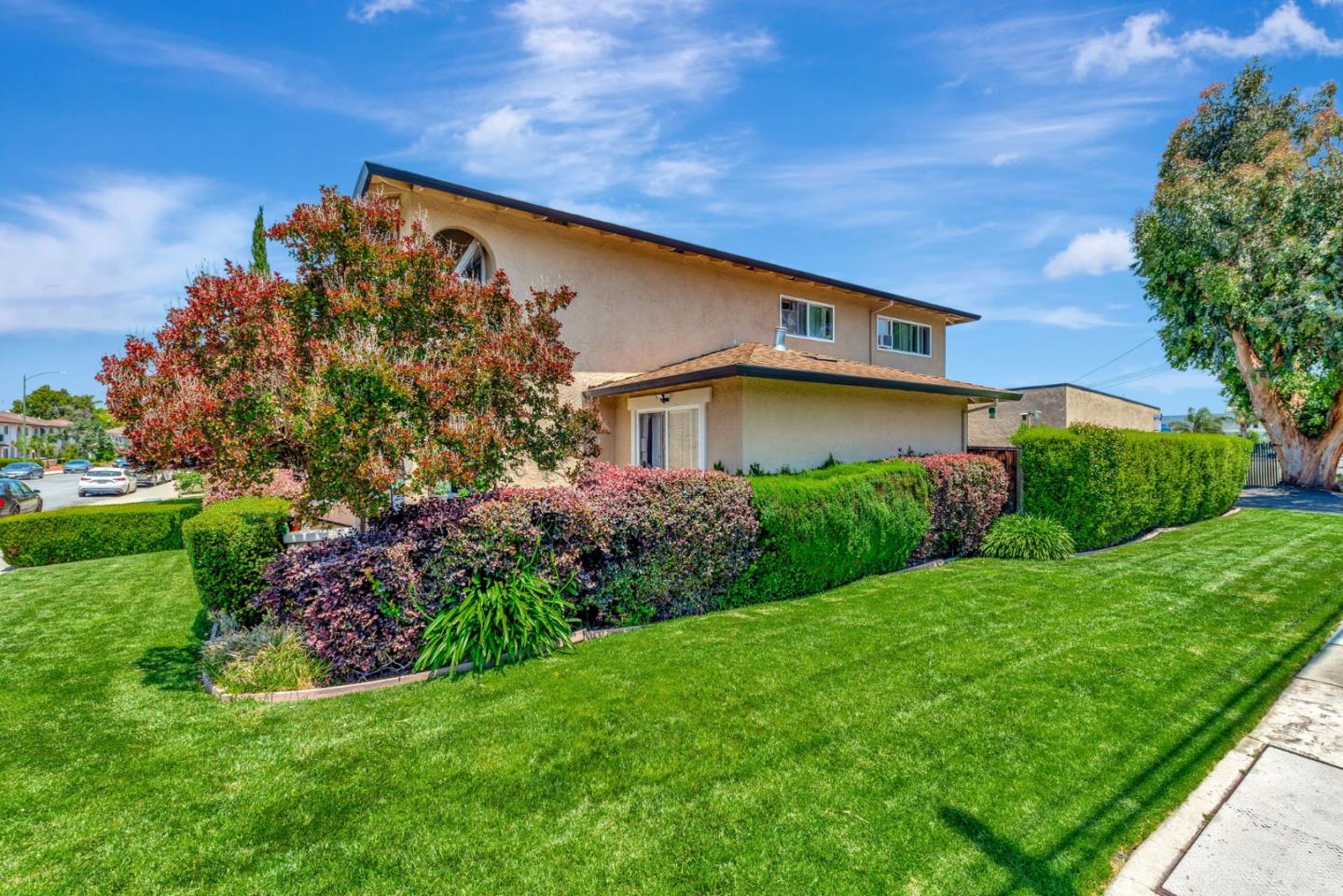 Detail Gallery Image 5 of 16 For 1144 Delna Manor Ln, San Jose,  CA 95128 - – Beds | – Baths