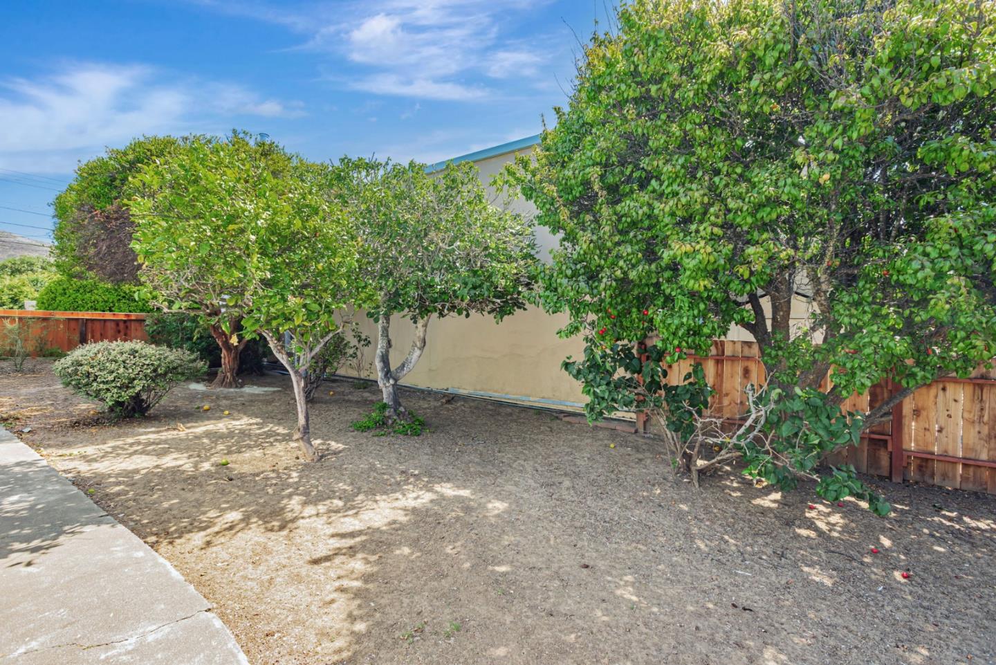 Detail Gallery Image 38 of 40 For 315 California Ave, South San Francisco,  CA 94080 - 3 Beds | 1 Baths