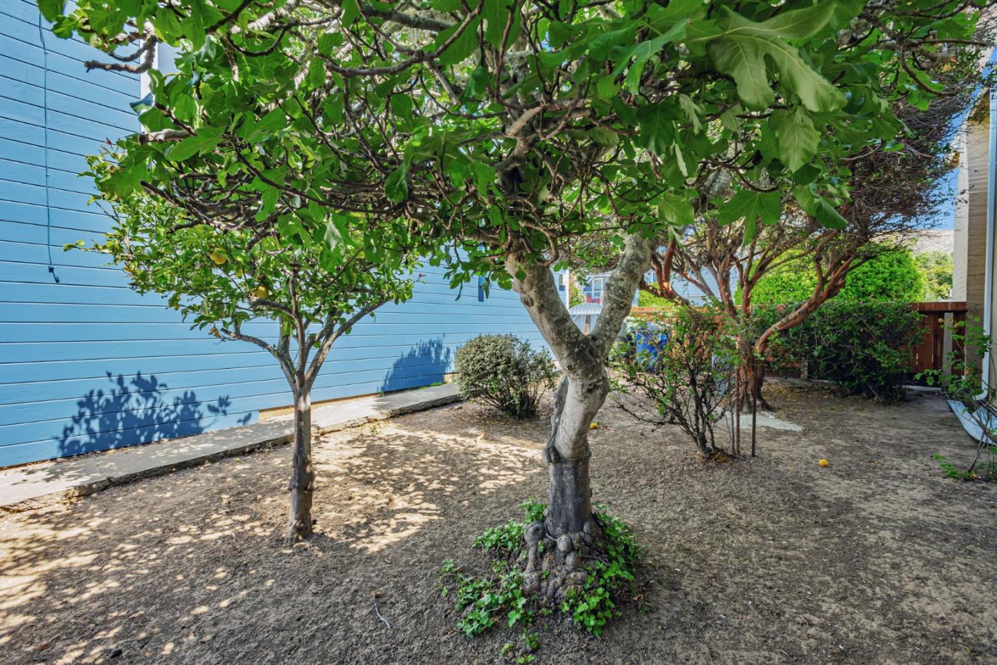 Detail Gallery Image 39 of 40 For 315 California Ave, South San Francisco,  CA 94080 - 3 Beds | 1 Baths