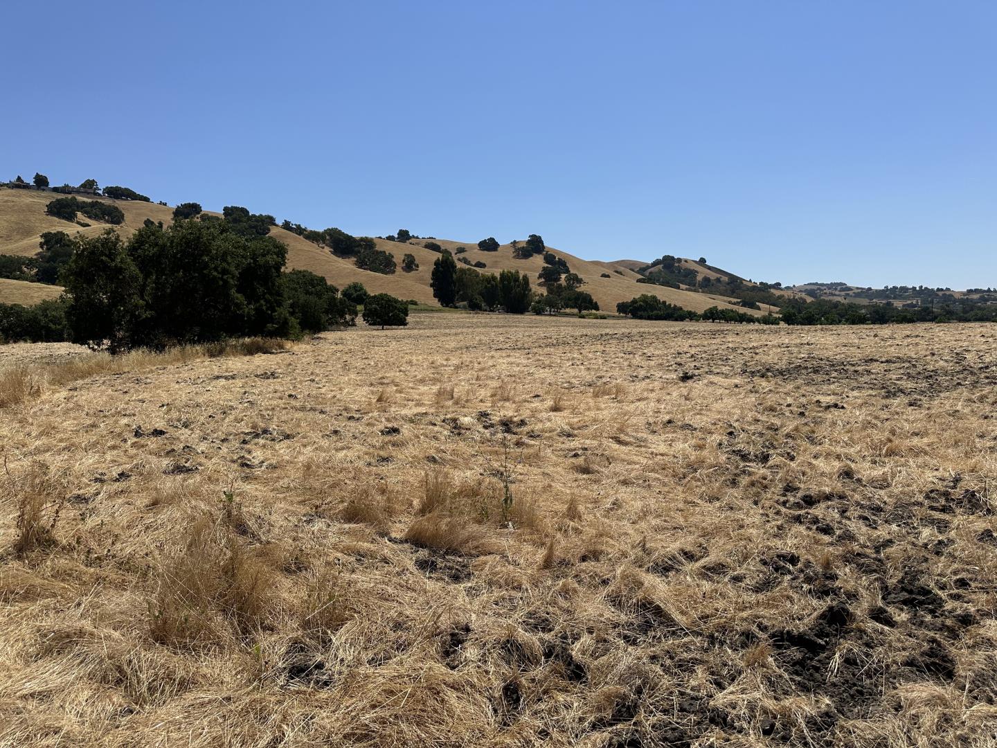 Detail Gallery Image 6 of 7 For Lot 3 Mira Lagos Dr, Morgan Hill,  CA 95037 - – Beds | – Baths