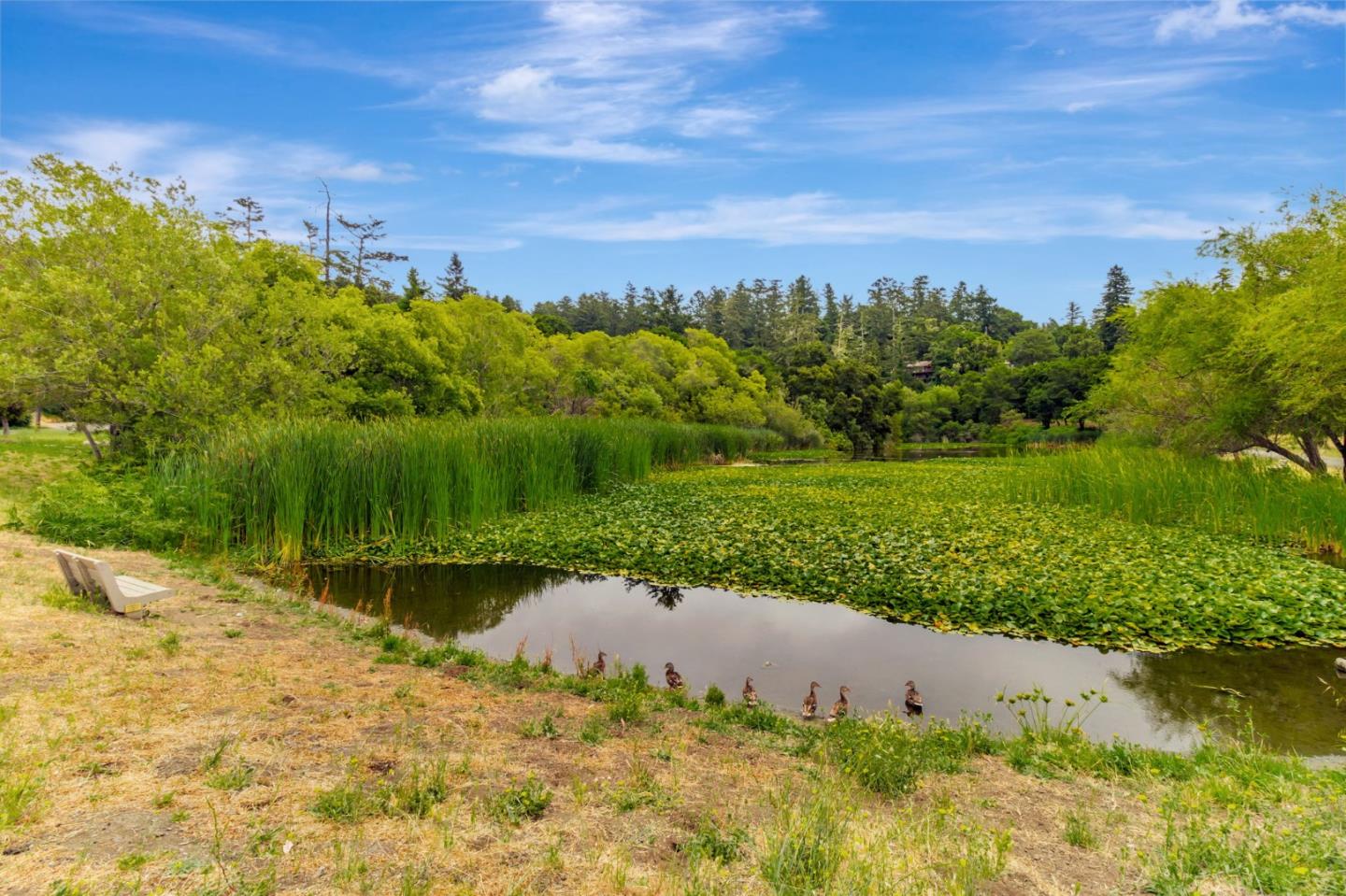 Detail Gallery Image 27 of 27 For 141 Recreation Dr, La Honda,  CA 94020 - 1 Beds | 1 Baths
