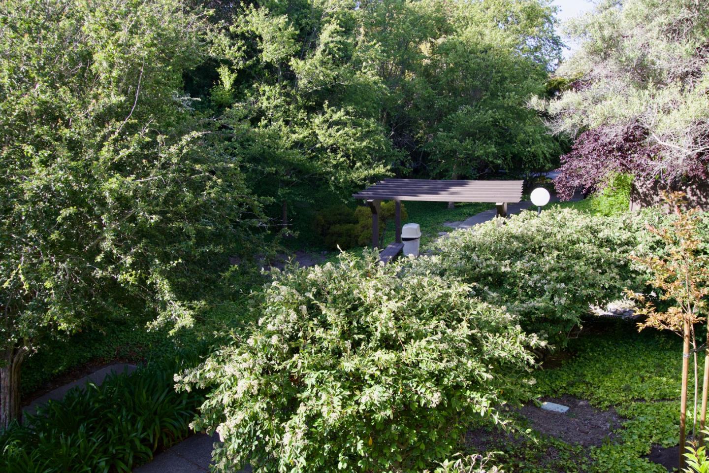 Detail Gallery Image 23 of 42 For 7203 Shelter Creek Ln, San Bruno,  CA 94066 - 1 Beds | 1 Baths