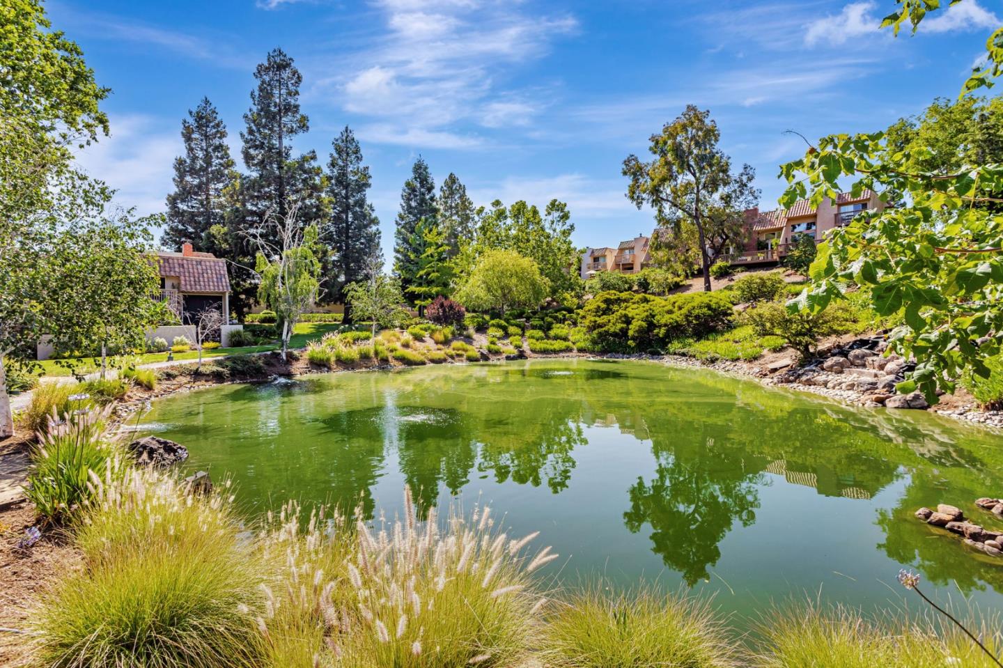 Detail Gallery Image 36 of 43 For 142 Calle Larga, Los Gatos,  CA 95032 - 3 Beds | 3 Baths