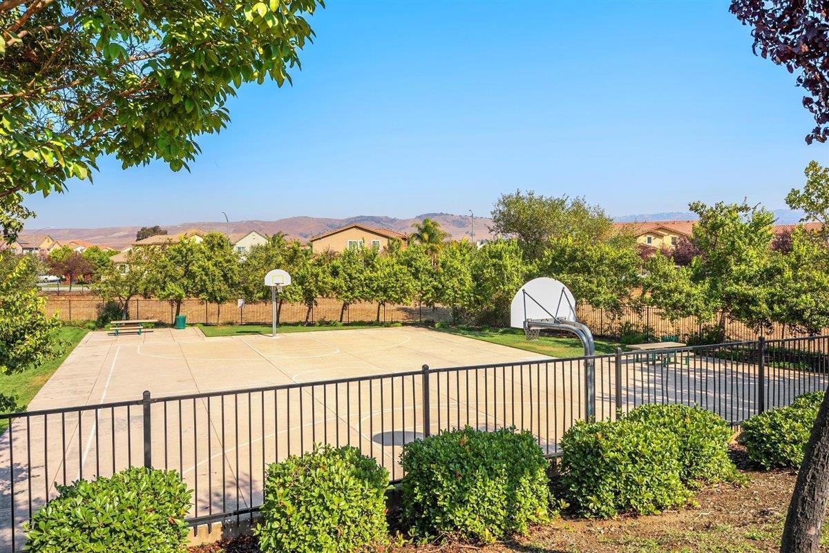 Detail Gallery Image 38 of 40 For 171 Coriander Ave, Morgan Hill,  CA 95037 - 4 Beds | 3/1 Baths