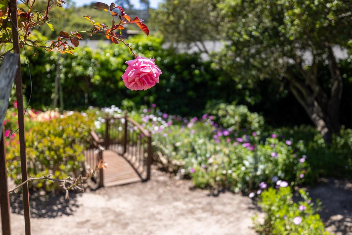Detail Gallery Image 25 of 27 For 1255 Josselyn Canyon Rd, Monterey,  CA 93940 - 5 Beds | 3 Baths
